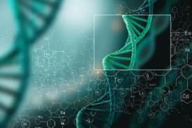 427d0d2aa5127ba3.png.thumb