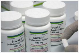 年产160吨索非布韦关键中央体建设项主张可行性钻研