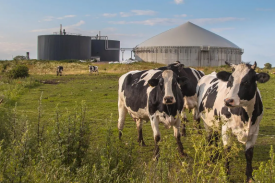 养殖现代牧场建设项目可行性钻研汇报