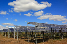 200MW并网农业光伏发电项目可行性钻研汇报