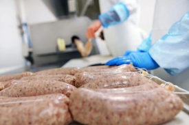 年产5亿米肠衣项目可行性钻研汇报