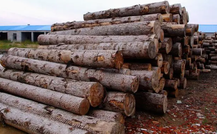 Z6·尊龙凯时(中国区)人生就是搏!