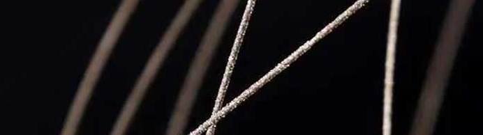 Z6·尊龙凯时(中国区)人生就是搏!