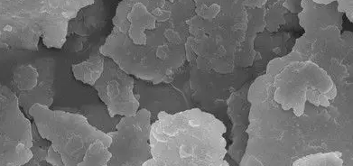 Z6·尊龙凯时(中国区)人生就是搏!