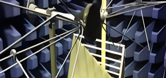 Z6·尊龙凯时(中国区)人生就是搏!