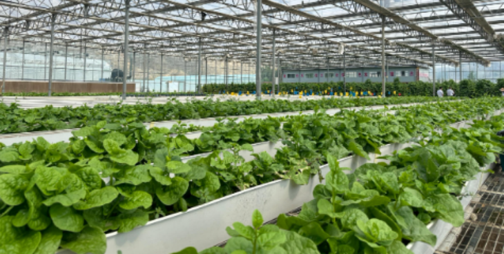 Z6·尊龙凯时(中国区)人生就是搏!