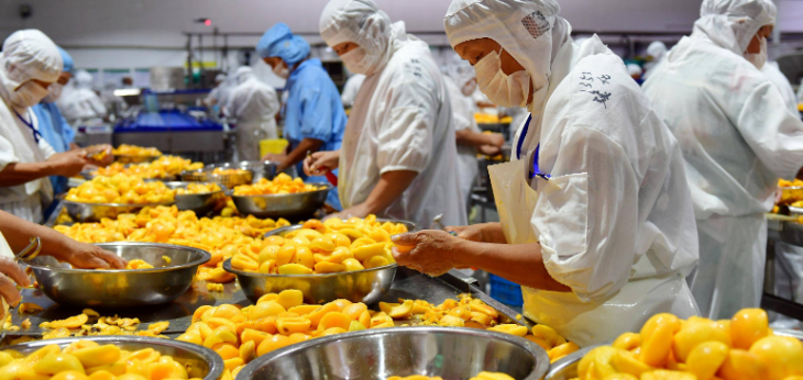 Z6·尊龙凯时(中国区)人生就是搏!