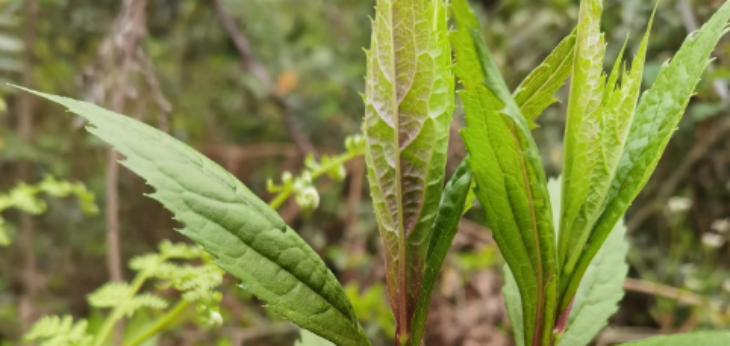 Z6·尊龙凯时(中国区)人生就是搏!