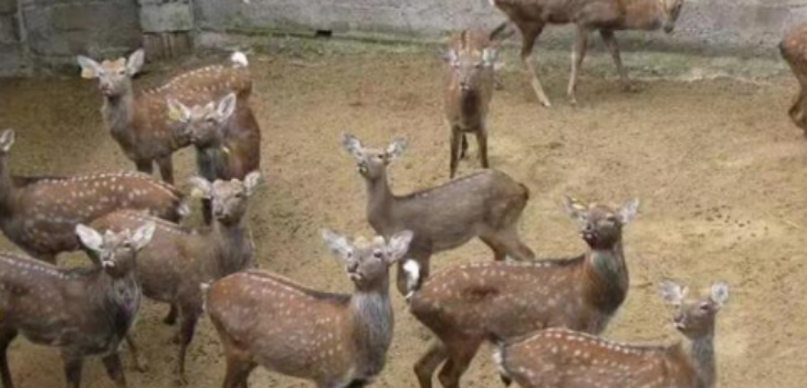 Z6·尊龙凯时(中国区)人生就是搏!