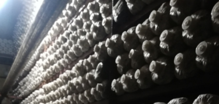 Z6·尊龙凯时(中国区)人生就是搏!