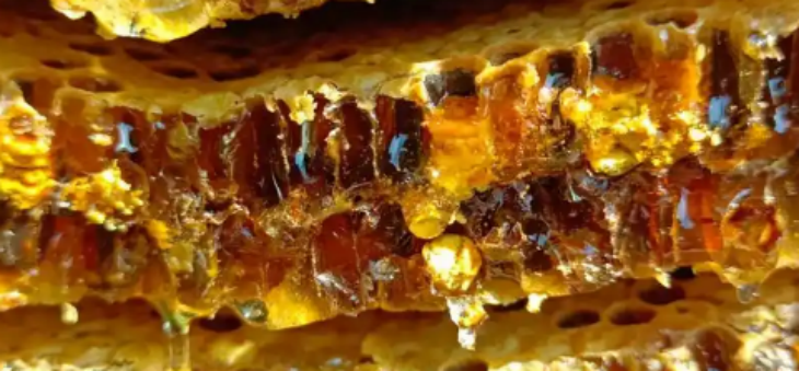 Z6·尊龙凯时(中国区)人生就是搏!