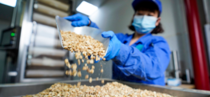 Z6·尊龙凯时(中国区)人生就是搏!