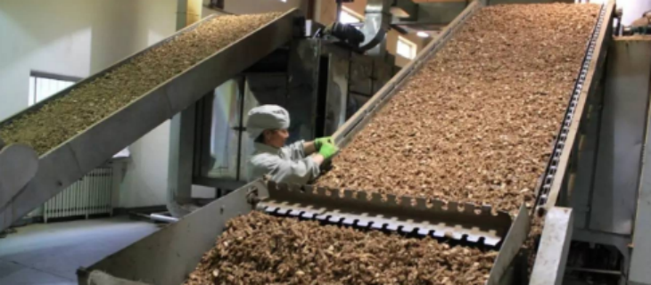 Z6·尊龙凯时(中国区)人生就是搏!