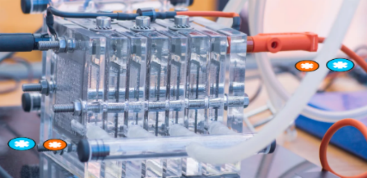 Z6·尊龙凯时(中国区)人生就是搏!