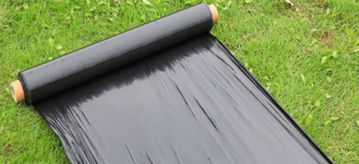 Z6·尊龙凯时(中国区)人生就是搏!