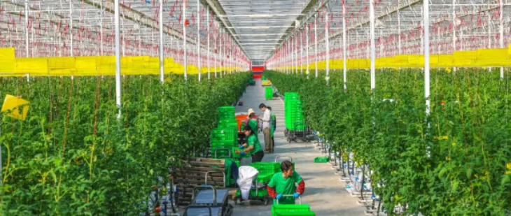 Z6·尊龙凯时(中国区)人生就是搏!