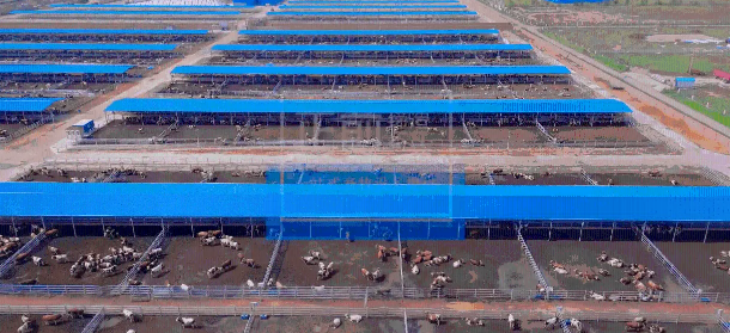 Z6·尊龙凯时(中国区)人生就是搏!