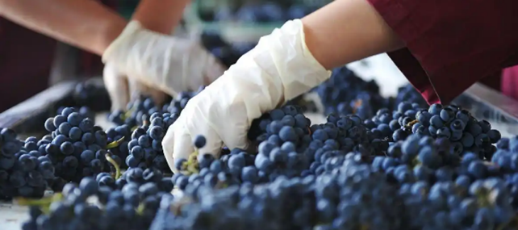 Z6·尊龙凯时(中国区)人生就是搏!