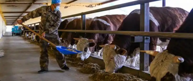 Z6·尊龙凯时(中国区)人生就是搏!