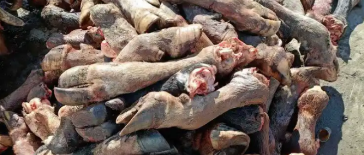 Z6·尊龙凯时(中国区)人生就是搏!