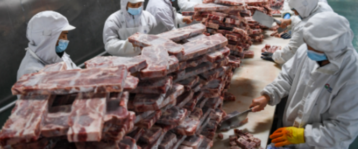 Z6·尊龙凯时(中国区)人生就是搏!