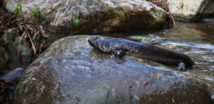 Z6·尊龙凯时(中国区)人生就是搏!