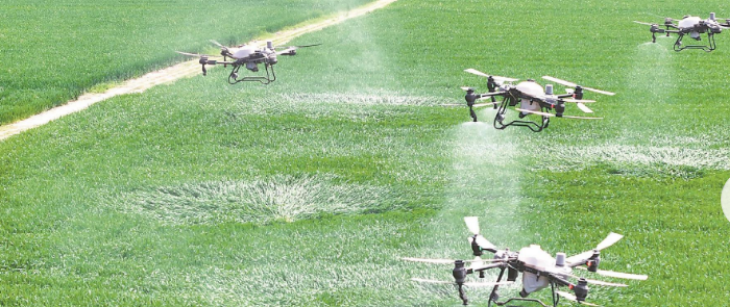 Z6·尊龙凯时(中国区)人生就是搏!